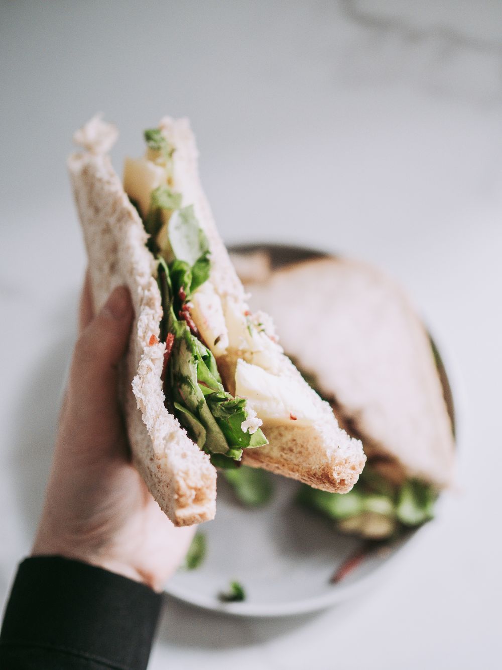 Veg Cheese Sandwich — illustrative food photography